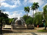 Santiago Palmer Square - CAGUAS